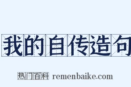 我的自传造句是什么意思的图片